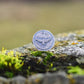 Hawk medallion ring- Size 6.25